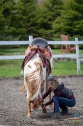 Clinique avec Marie-Claude Bouillon le 8-9 juin 2019
