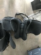 Selles English Santa Cruz 18