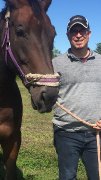 Belle jument de 9 ans à vendre, secteur de Mirabel
