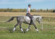 Entraineur 2 certifié pour cours