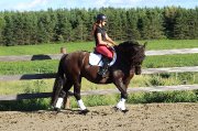 Entraineur 2 certifié pour cours