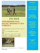 Stage Équestre dressage et saut d'obstacle