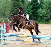 1/2 pension WB concours complet écurie St-Apollinaire