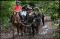 Guide et animateur de Parc Equestre