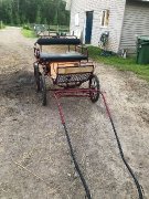 Deux Superbe poney a vendre