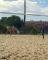 Cours de théorie galops / hippologie / futurs...