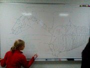 Cours de théorie galops / hippologie / futurs...