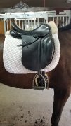 POUR VENTE RAPIDE / Selle de dressage