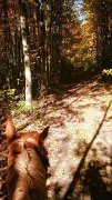 Écurie intime et privé - Ormstown Qc.