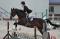 Cours d'équitation classique (Rive-Nord et Sud de...