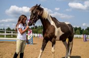Superbe poney paint welsh