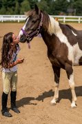 Superbe poney paint welsh