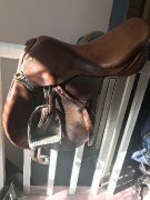 Selle anglaise