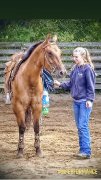 Cours et entrainement à domicile !