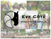 Photographie équine, canine et humaine