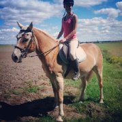 Demi-pension Haflinger 15 ans