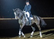 Voyage à Equine Affaire au Massachusetts du 8 au 10 nov 2019