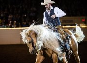 Voyage à Equine Affaire au Massachusetts du 8 au 10 nov 2019