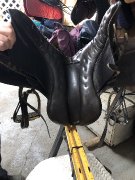 Selle Classique 16 pouces
