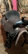 Selle wintec PAS CHER 