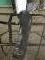 Sangle dressage noire Jeffries gr. 24