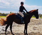 Entraînement, reconditionnement cheval/cavalier