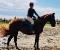 Entraînement, reconditionnement cheval/cavalier