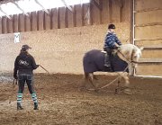 Entraînement, reconditionnement cheval/cavalier