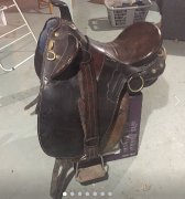 Selle australienne Supreme poley