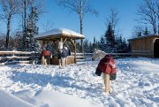 Les prés avec foin à volonté l'hiver