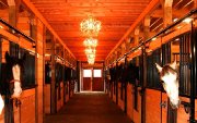 PENSION POUR CHEVAUX AVEC MANÈGE INTÉRIEUR ET...