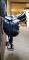 Selle de dressage CWD 2015