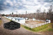 PENSION DISPONIBLE AU RANCH ÉQUESTRE CAROLA &...