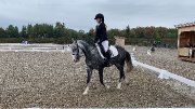 Demi-pension sur poney de compétition et quarter horse