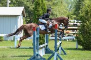 Demi-pension sur poney de compétition et quarter horse