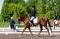 Demi-pension sur poney de compétition et quarter...