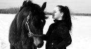 Recherche cheval