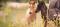 Recherche pension