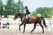 RECHERCHE Cheval!