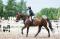 RECHERCHE Cheval!