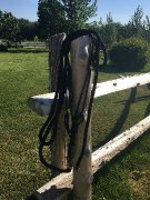 Licou éthologique + laisse faits à la main