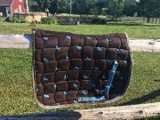 Tapis de selle Shedrow poney