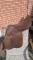 Selle anglaise