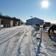 Pension pour chevaux à LaPrésentation