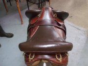 Selle Australienne