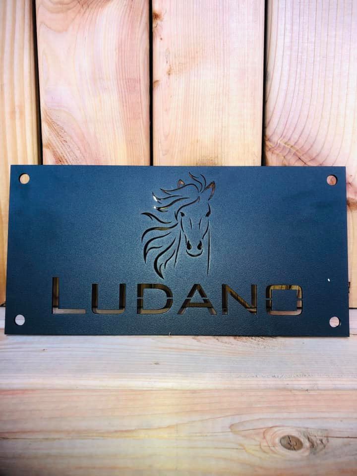 Plaque de boxe