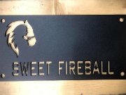 Plaque de boxe
