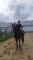 Harry, thoroughbred noir, 14 ans, 16'2