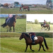 grand poney besoin de millage