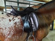 Selle de dressage Equation saddlery modèle Canterbury